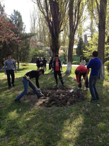 Субботник...236