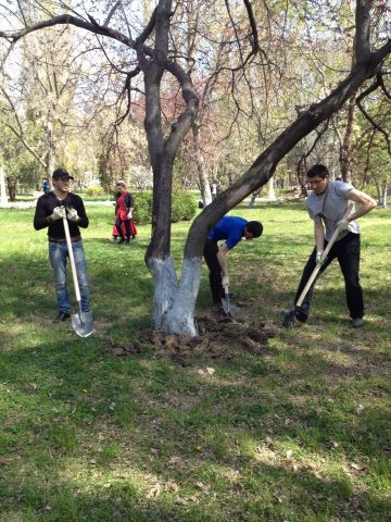 Субботник...240