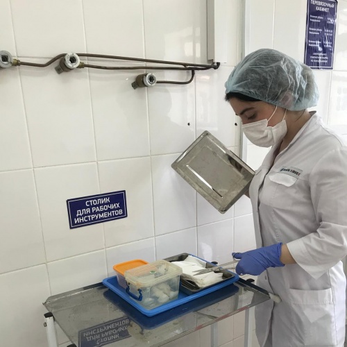 ПРЕДДИПЛОМНАЯ ПРАКТИКА В УСЛОВИЯ БОРЬБЫ  С COVID-19