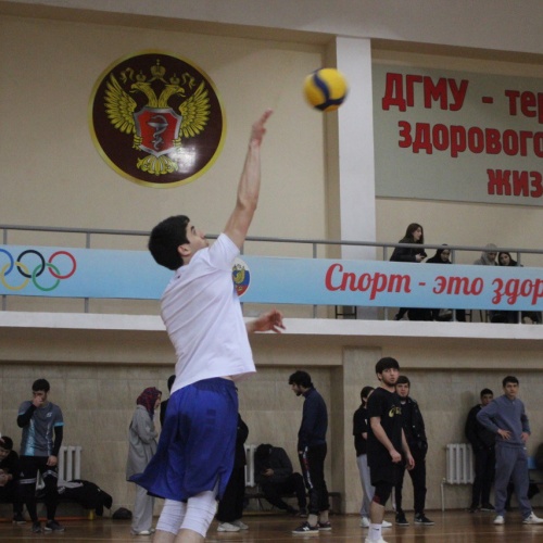 Турнир по волейболу