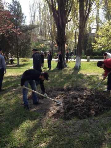 Субботник...237